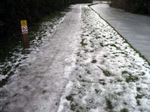 Photo showing iced-over canal towpath in Barlaston